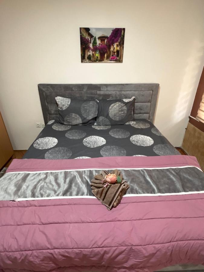 Aloha Apartment Novi Pazar Kültér fotó